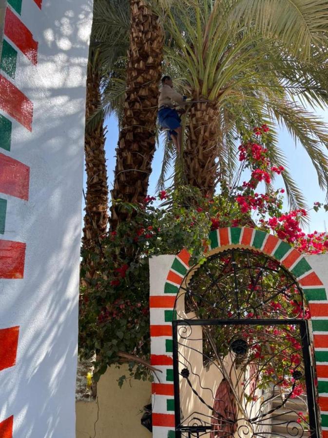 Nubian Dreams Guest House Aswan Exterior photo